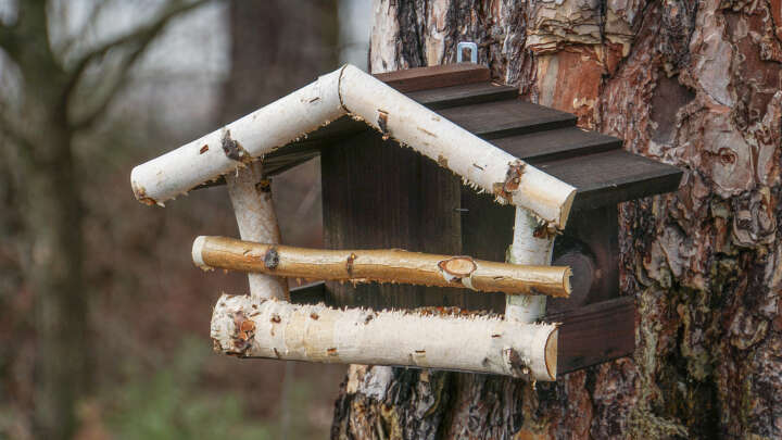 PATKAR Birkenhaus zur Wandaufhängung